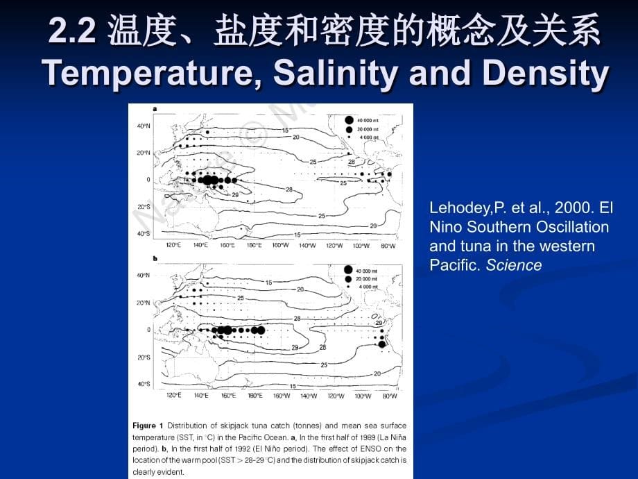 海科导水文3._第5页