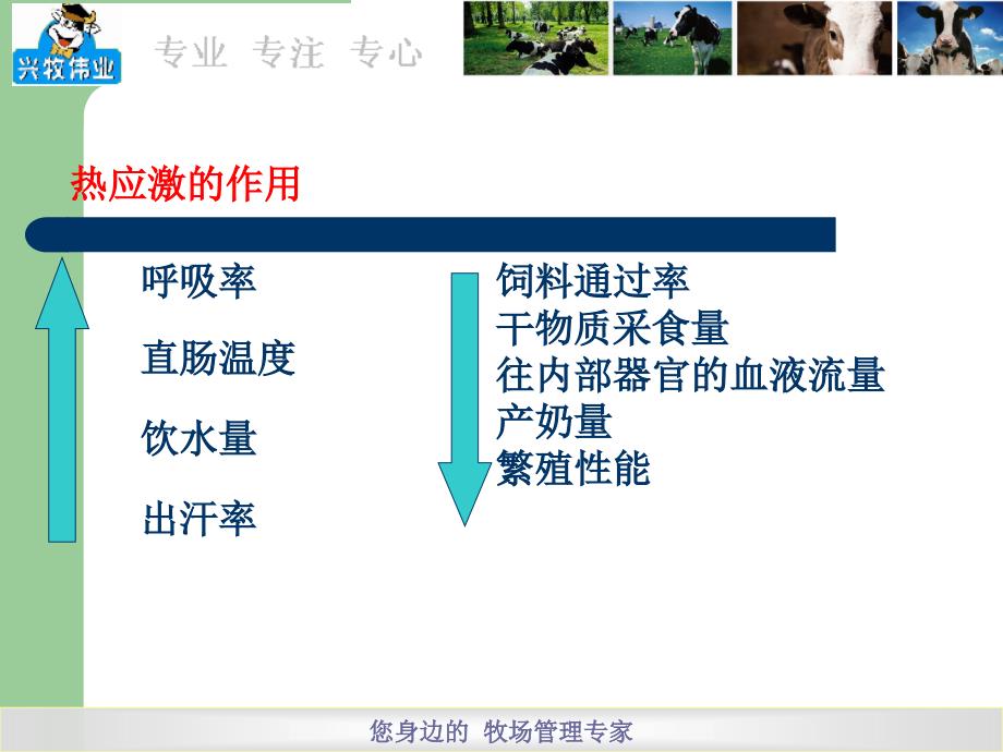 制定减少热应激体系教材_第3页