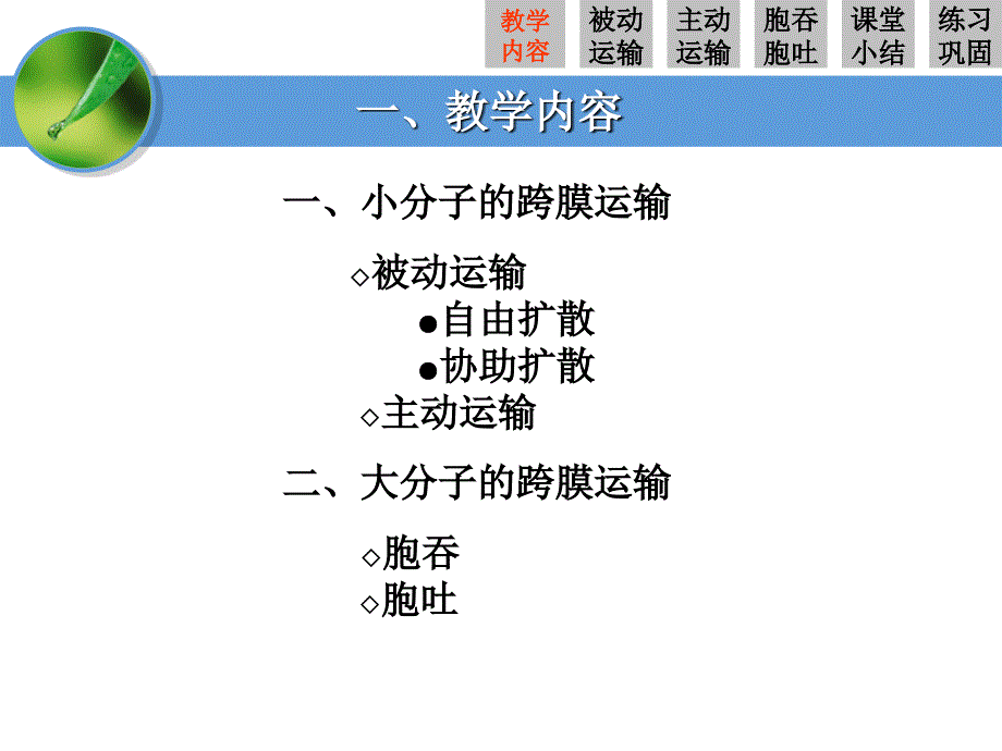 五个一物质跨膜运输的方式lhw_第3页