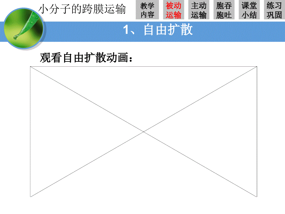 五个一物质跨膜运输的方式lhw_第4页