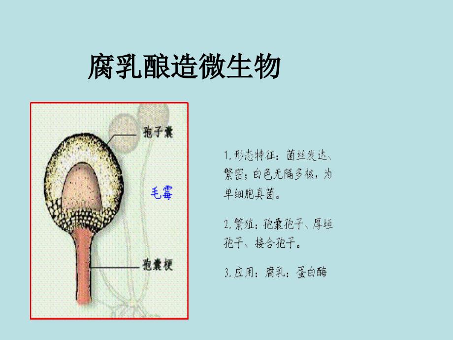 人教版教学高中生物人教版选修一专题课题：腐乳的制作_第4页