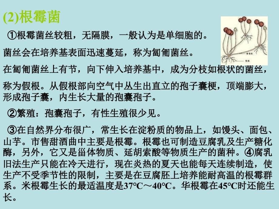 人教版教学高中生物人教版选修一专题课题：腐乳的制作_第5页