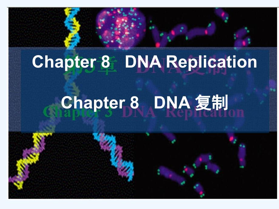 分子生物学chapter8_第1页