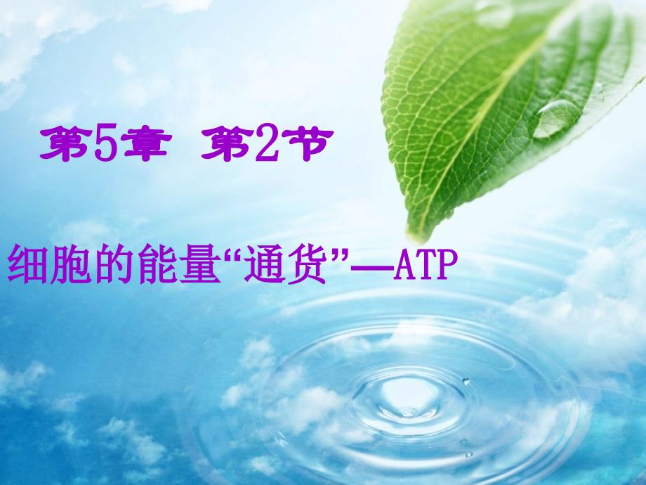 人教版教学细胞的能量通货atp说课海教杯说课_第1页