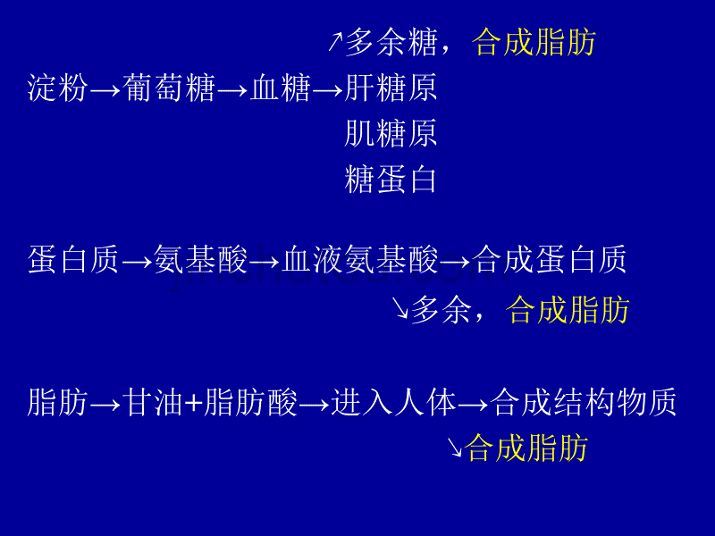 运动减肥的理论与方法7-10讲解_第3页