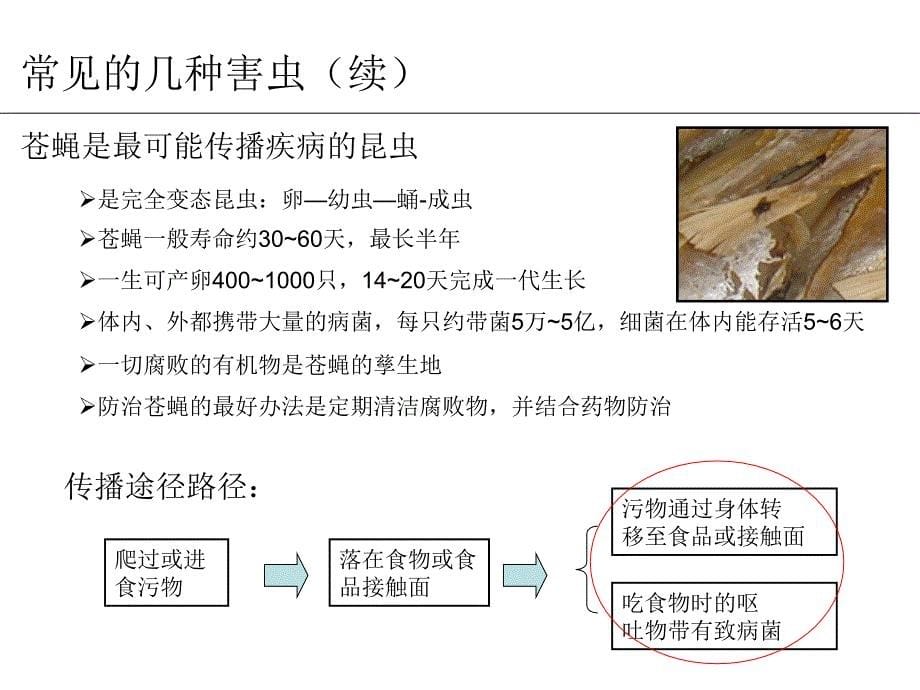 除灭虫害控制程序._第5页