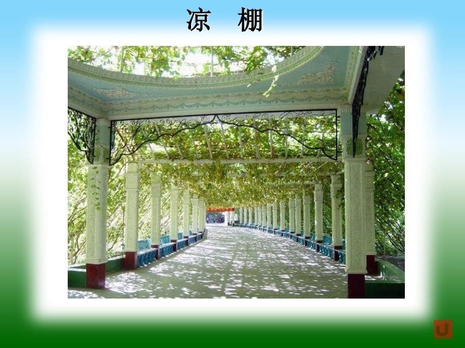 北京版三级上册《葡萄沟》_第5页