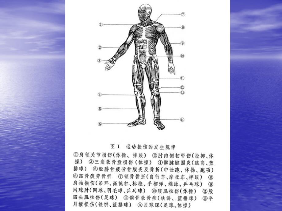 运动损伤的应急处理教材_第3页