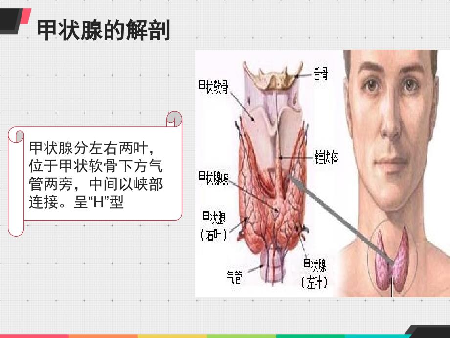 甲状腺手术配合汇编_第3页