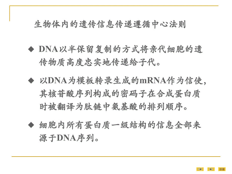 真核基因与基因组-预防_第4页