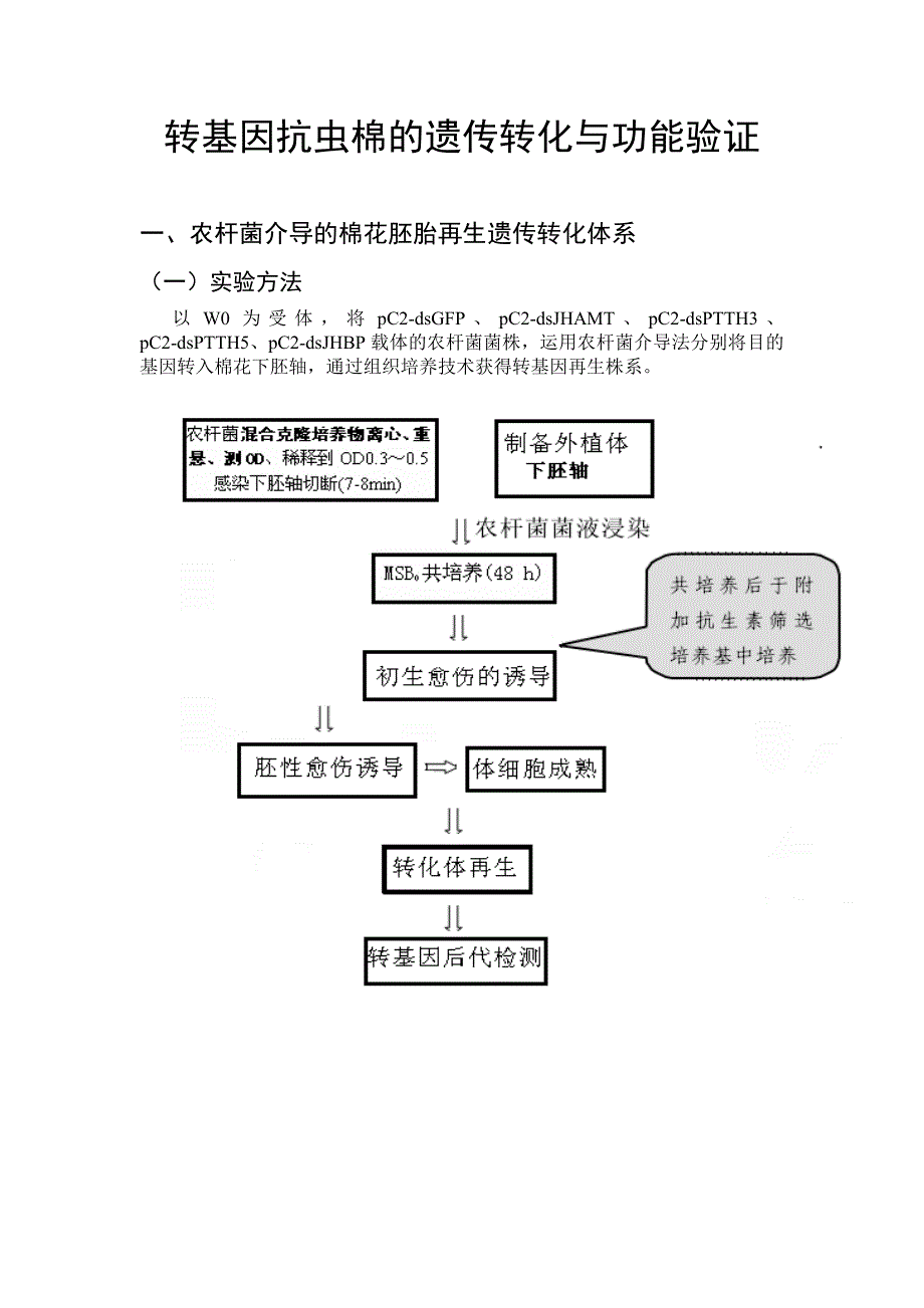 转基因抗虫棉的遗传转化与功能验证汇编_第1页