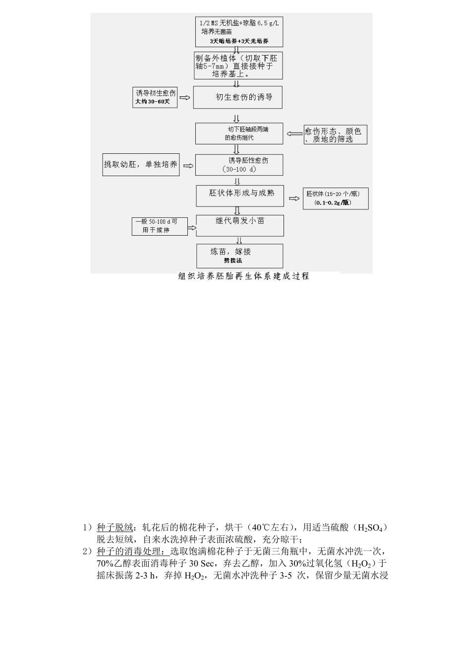 转基因抗虫棉的遗传转化与功能验证汇编_第3页