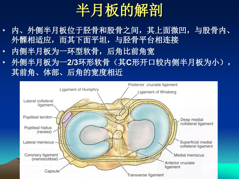 半月板损伤标准._第2页