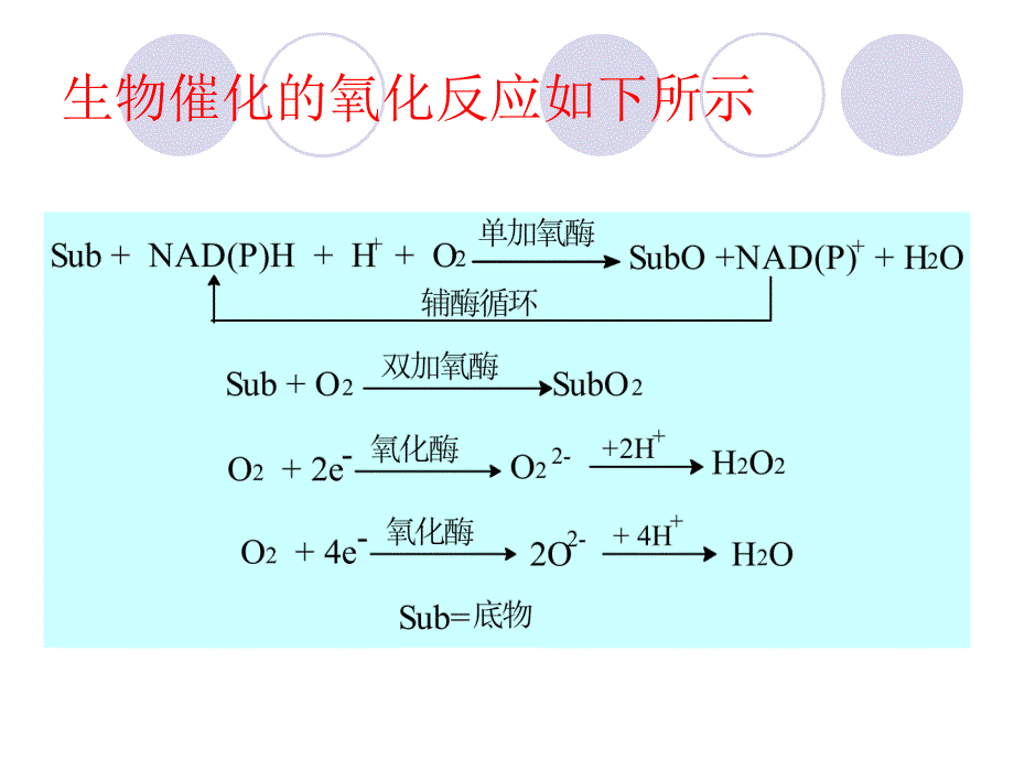 五讲生物催化氧化反应_第4页