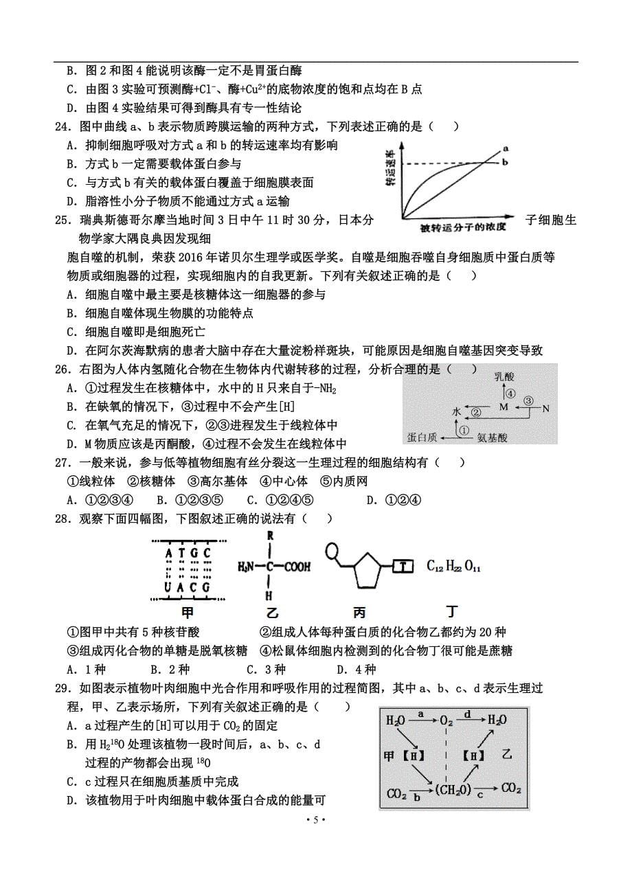 湖北省襄阳市四校(襄州一中、枣阳一中、宜城一中、曾都一中)2017届高三上学期期中联考生物汇编_第5页