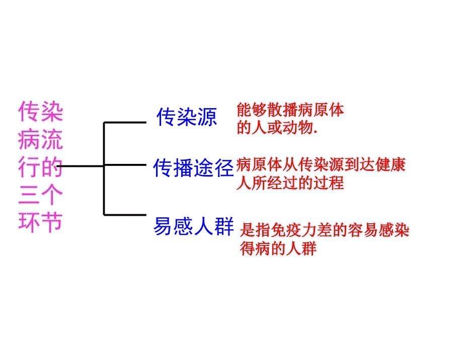 八单元 健康地生活(复习)_第5页