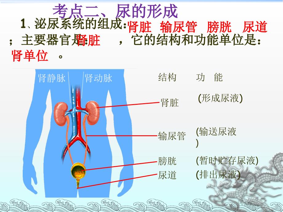 初一册生物五人体内废物的排出_第4页