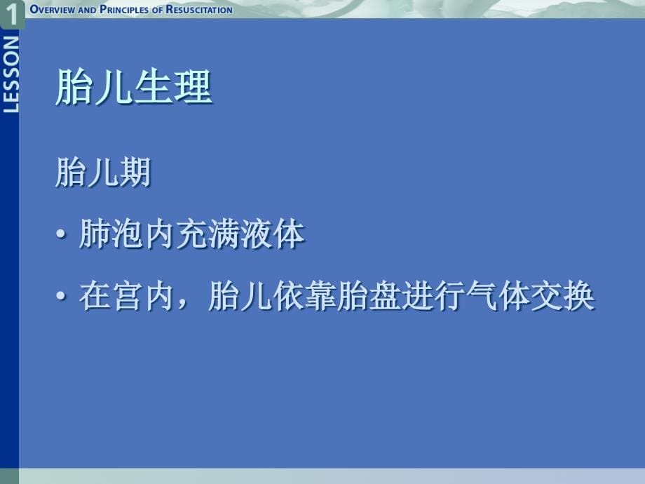 新生儿复苏技术课件讲解_第5页