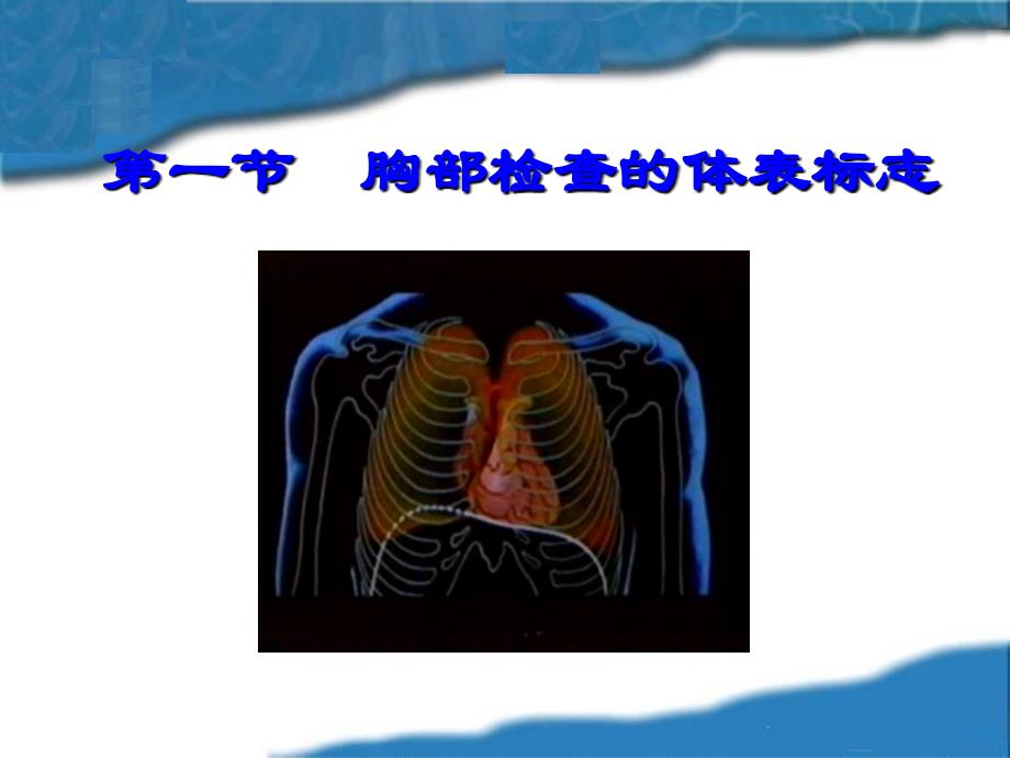 胸肺部检查-1-zc讲解_第2页