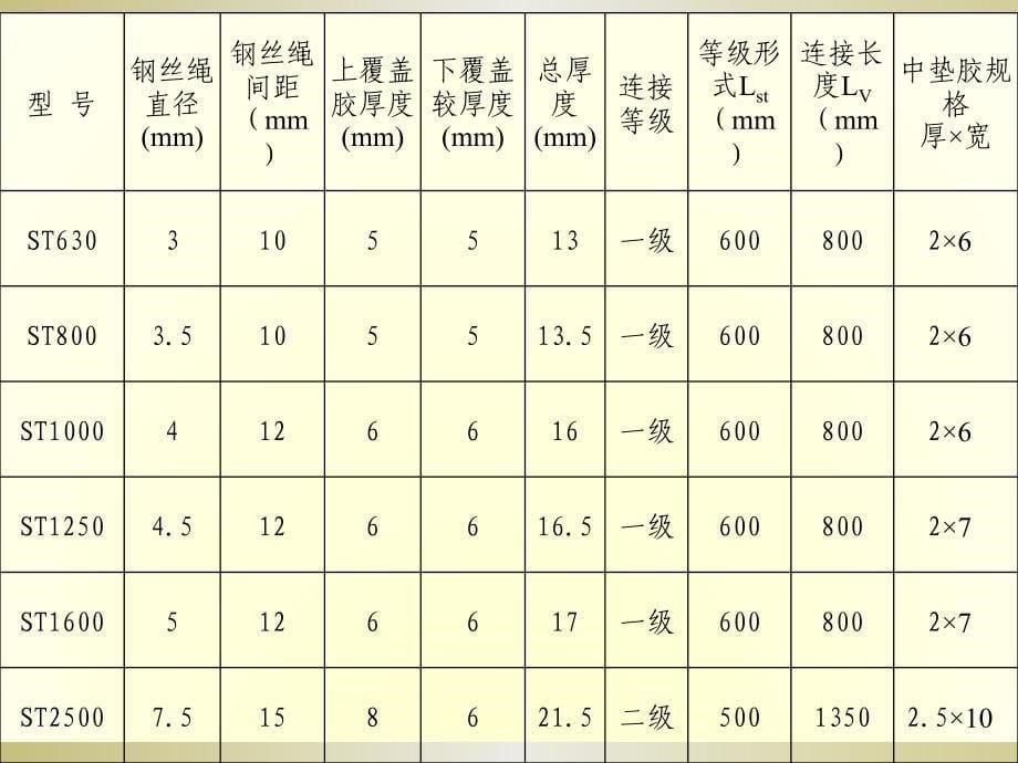 胶带机硫化工艺._第5页