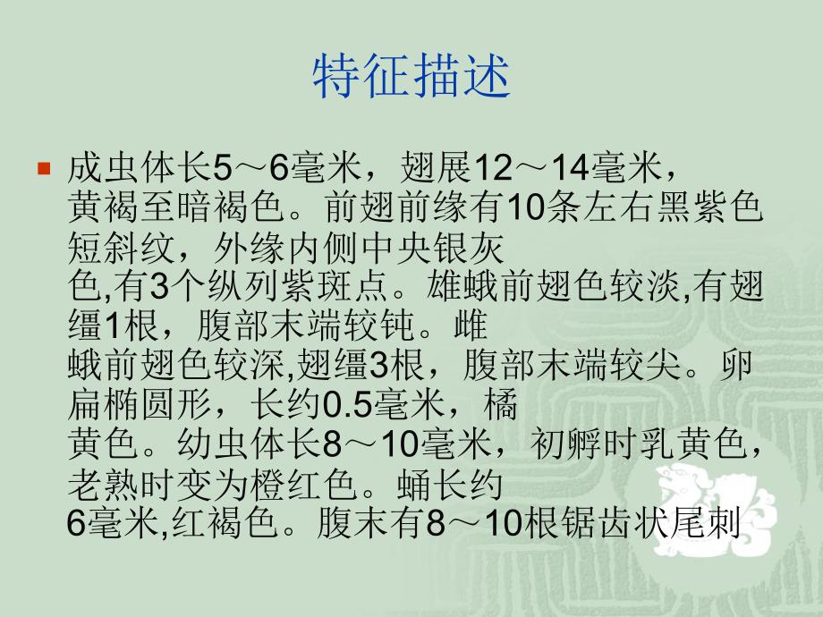 油料病虫害防治技术与方法_第4页