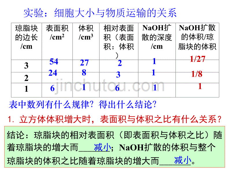 细胞增殖课件好有动画汇编_第5页