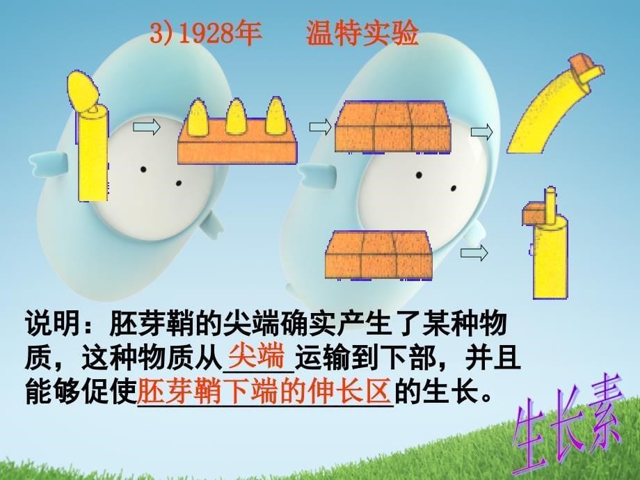 专题十二植物的激素调(必修)_第5页