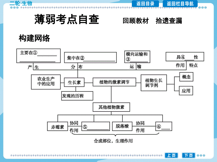 小专题13植物的激素调节讲解_第3页