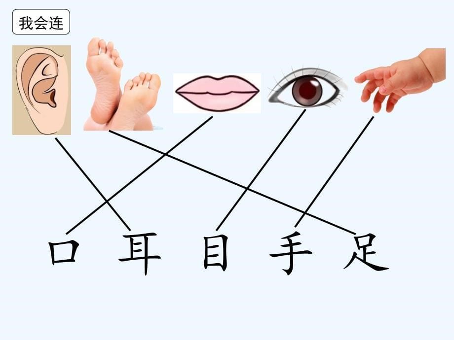 人教《口耳目》_第5页