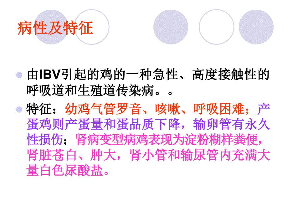 IB(传染性支气管炎)_第2页