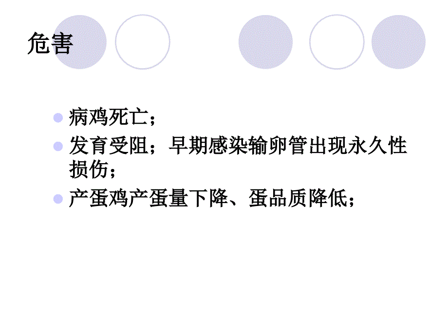 IB(传染性支气管炎)_第3页