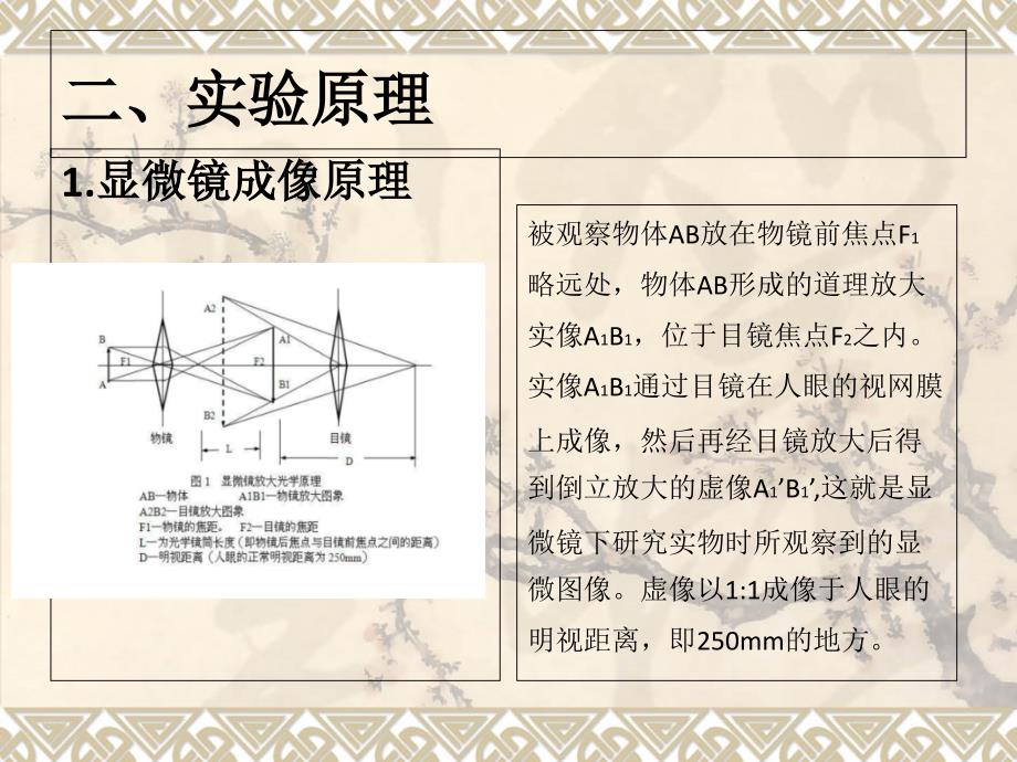 金相显微镜的使用汇编_第4页