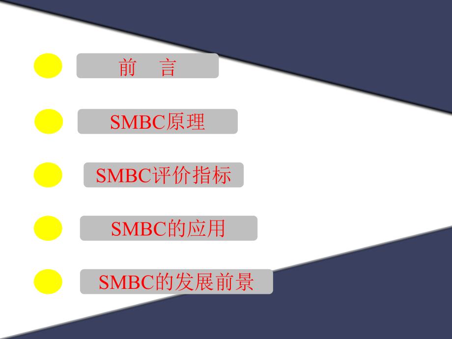 模拟移动床色谱(SMBC)综述_第2页
