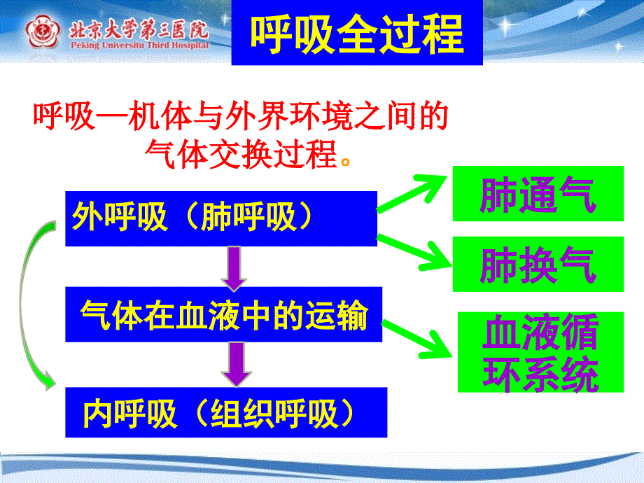 氧供需平衡监测2013.2讲解_第4页