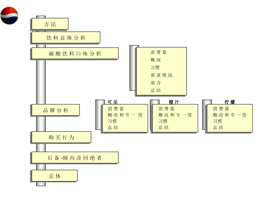 百事可乐消费者行为和态度研究教材_第4页