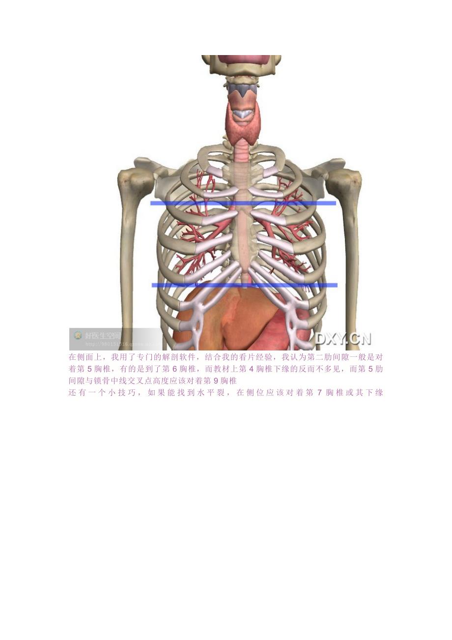 胸腔穿刺定位定量影像讲解_第3页