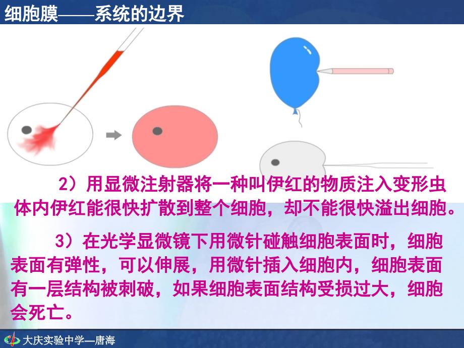 人教版教学细胞膜—系统的边界唐海_第4页