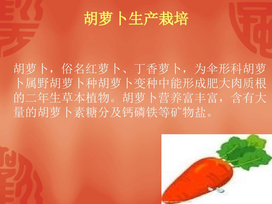 胡萝卜生产栽培汇编_第1页
