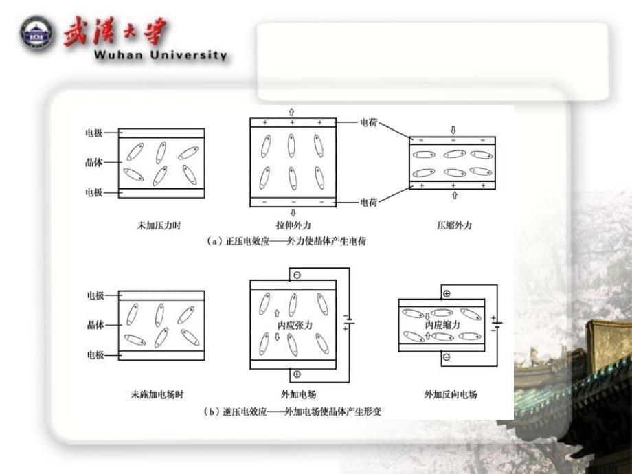 压电材料力学性能讲解_第5页