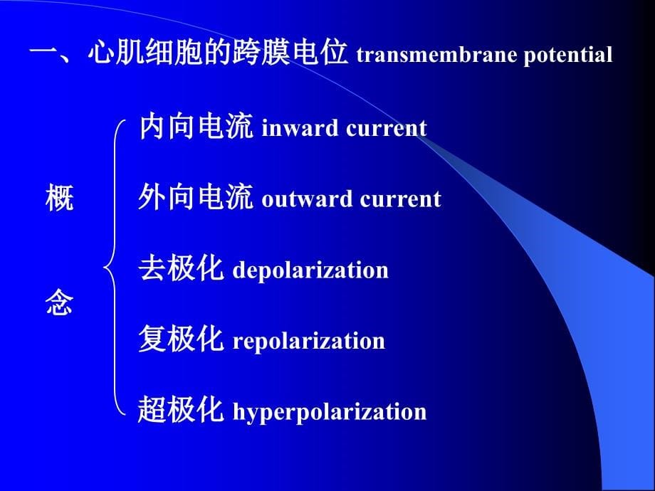 血液循环-医学生理学-课件1-04讲解_第5页