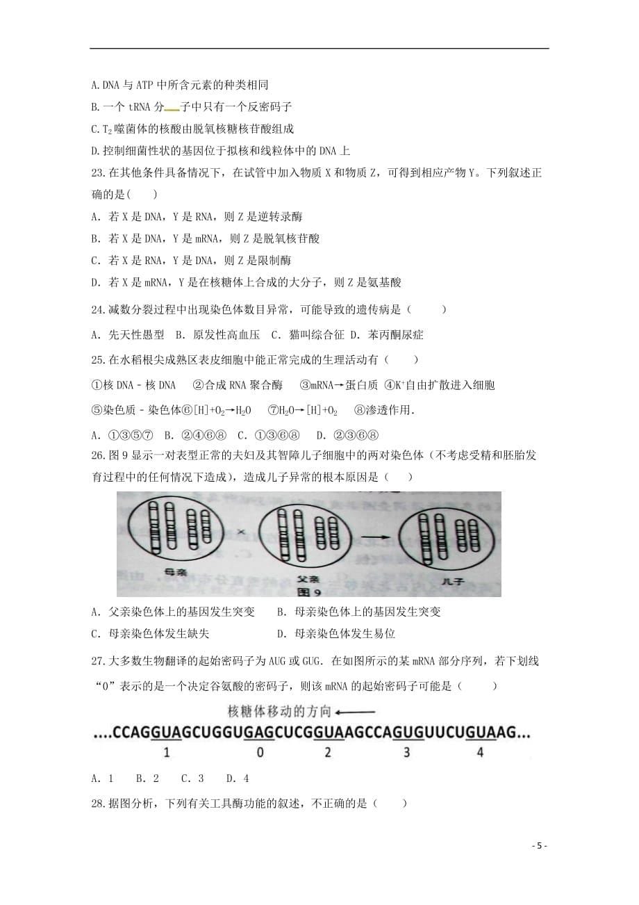 河南省太康县2016-2017学年高一生物下学期期末考试试题（B卷）_第5页