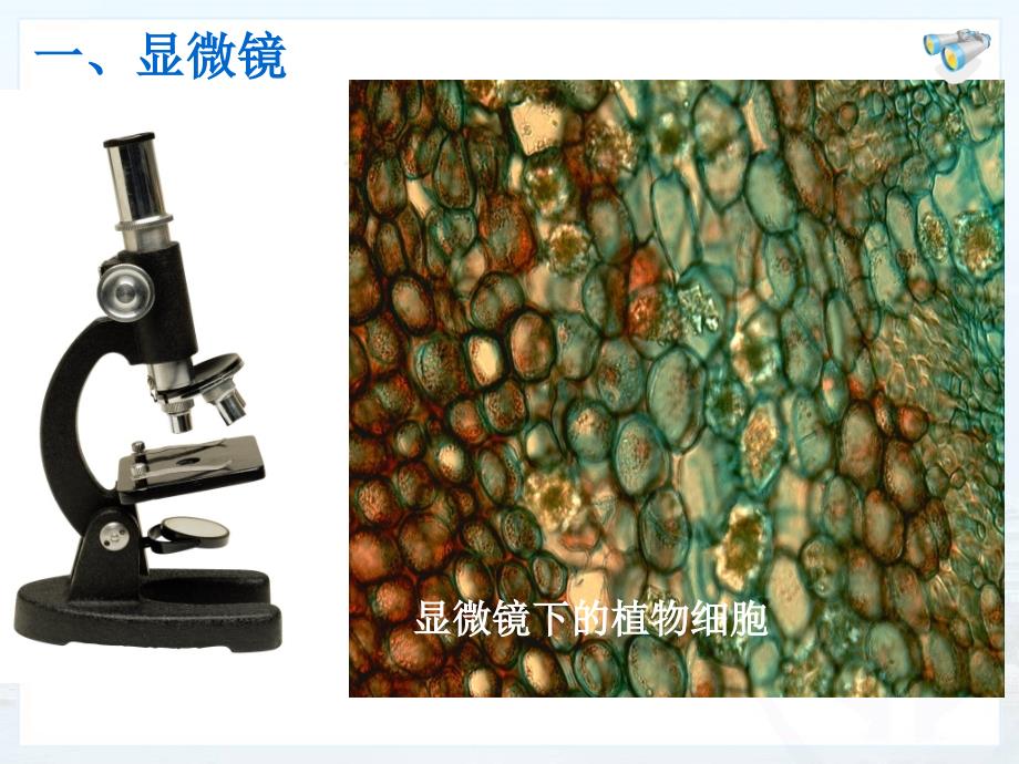 显微镜和望远镜(修改过的)_第3页