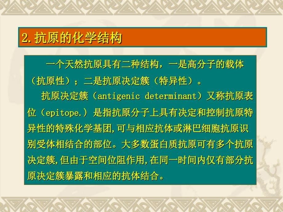 运动生理学 第7章内分泌免疫与运动运动与免疫讲解_第5页