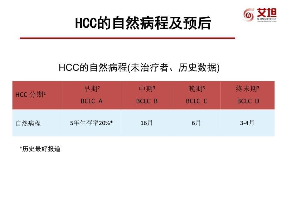 肝癌学术报告-1206final(1)._第5页