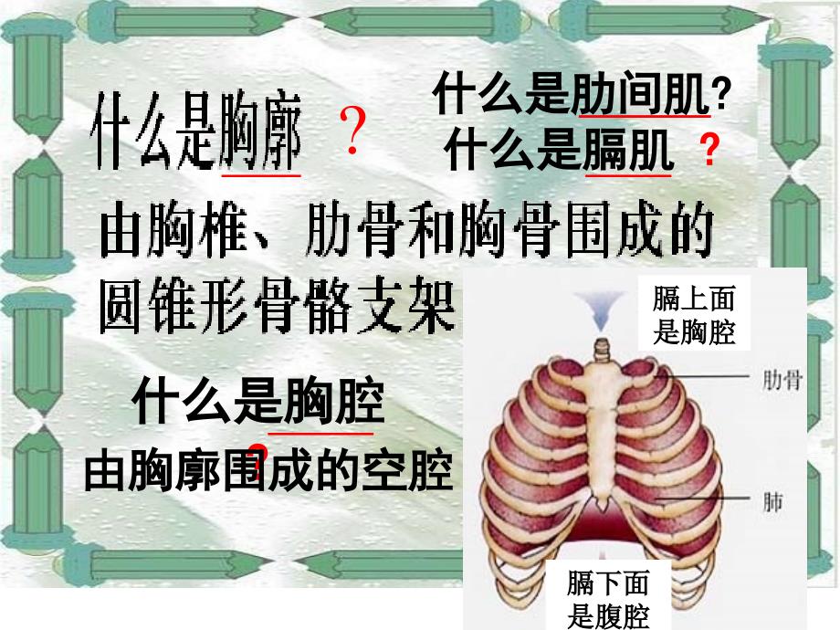 二发生在肺内的气体交换(用)_第4页