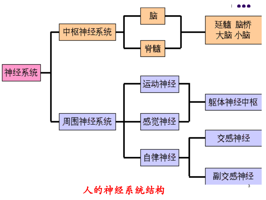 五人的知觉感觉与环境_第3页