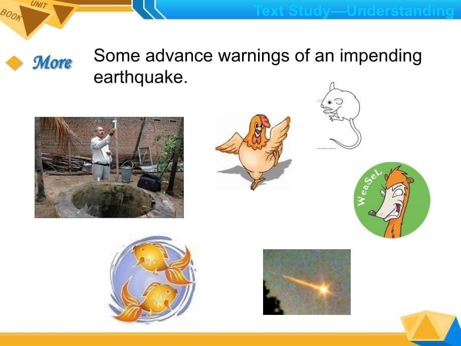 新视野三 unit6 How to Prepare for Earthquakes PPT讲解_第5页