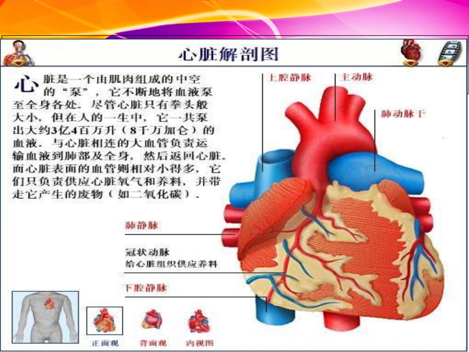 先心病概述及术监护_第3页