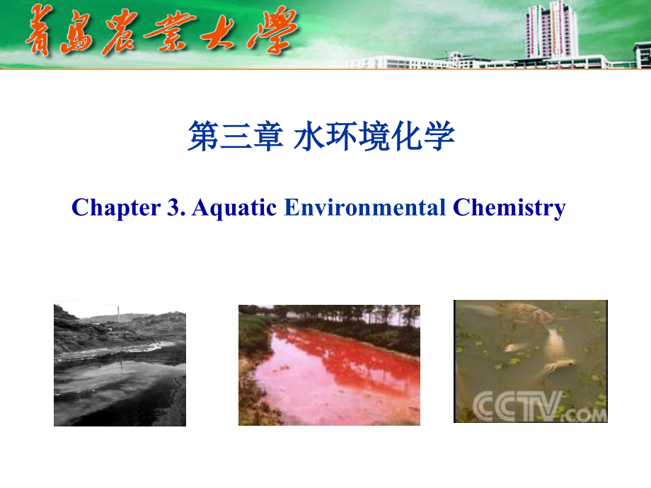 环境化学PPT综述_第1页