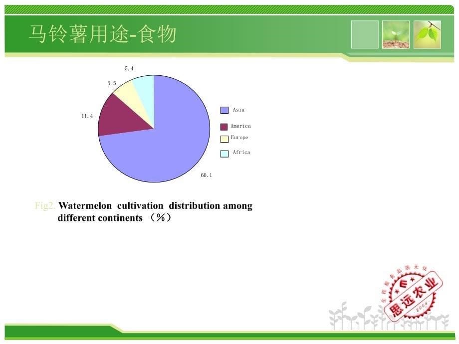 思远农业西瓜标准化201312_第5页